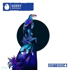 Sorry [DIRTYBIRD]