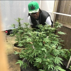 Get Ya Shit Together- Roc MIke