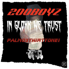 Palmo3thirtyone1-Dipshit(featLilBrazy)