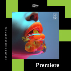 PREMIERE: Prana Flow ft True Motion - About Love [Parallel Lives]