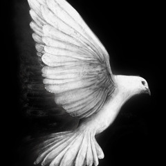 تقاسيم عشاق عربي