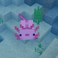 axolotl