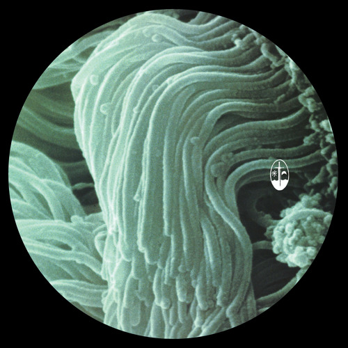 deep hypnotic ambient groove techno set