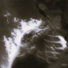 Chifpi X Kagan - SERR [Slow&Reverb]