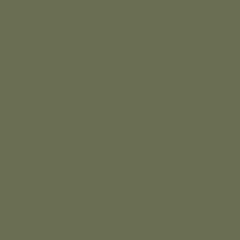 Agave Mix #1