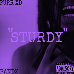 “STURDY” - @purr.xd x @_damnbandz #jerseyclub #MYSTYLE🪩 *OUT ON ALL PLATFORMS*