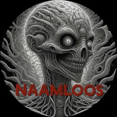 NaamloosGedruis - The System Is Born