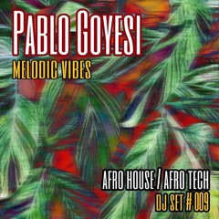 Melodic Vibes 009 (Afro House/Afro Tech)