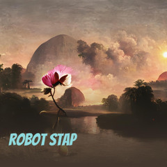 Robot Stap (Acoustic)