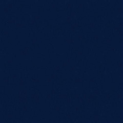 She Want Navy
