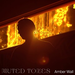 Muted Tones - Amber Wall
