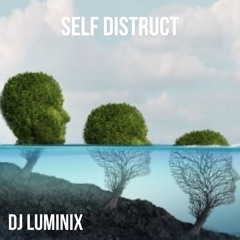 SELF DISTRUCT - DJ LUMINIX