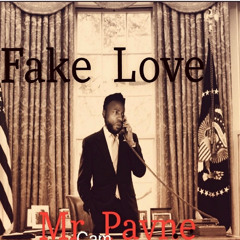 Fake Love