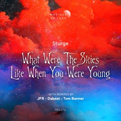 What Were The Skies Like When You Were Young (Original Mix )