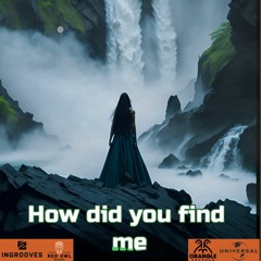Iruviya & FLfive - How Did You Find Me?