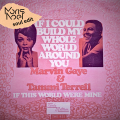 Moris Noel - If This World (Soul Edit)