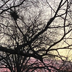 lunatik + Xuri$ - Yuh p. aris