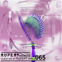 Ruperts Selects 065 - Adventures In Ambient & Downtempo w/ Rupert Wall