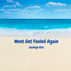 Wont Get Fooled Again