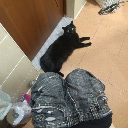 веду себя странно