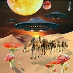 wonk - camels x time tripping x wait for me