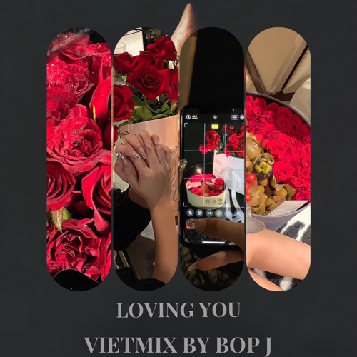 LOVING YOU  - Vietmix By BOP J