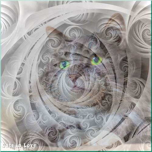 Happines after meditation