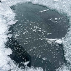 DOUBLE TROUBLE (Royal x Phazoh)