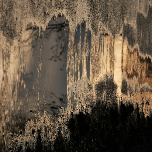 Pomme_Je Sais Pas Danser_Reprise.WAV