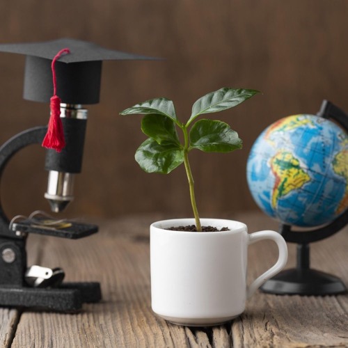 PHD Consultant in Chandigarh (2)