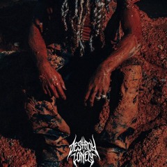 Destroy Lonely - AMERIKA (BETTER)
