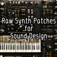 Raw Synth Patches(audio sample)