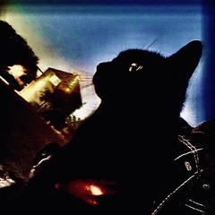 Blackkat ft Mj (brr)