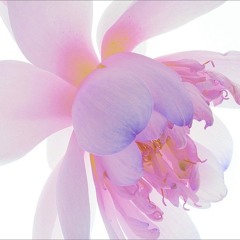 ULTIMATE DEADBALL-P PLAYLIST 😮