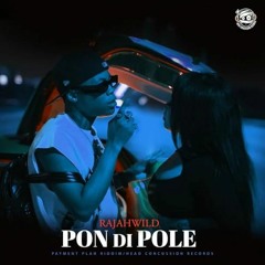 RajahWild - Pon Di Pole (Fast) | @djtycombs
