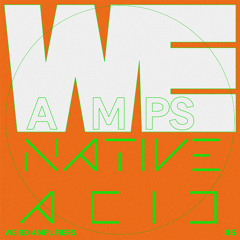we.amps - Native Acid (Original mix)