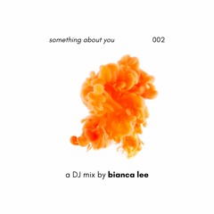 002 ||| something about you ||| DJ mix (clean)