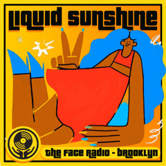 Checkster's Big Birthday House - Liquid Sunshine @ The Face Radio - Show #233