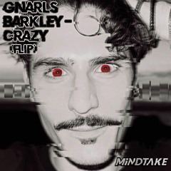 Gnarls Barkley - Crazy (MiNDTAKE Flip)