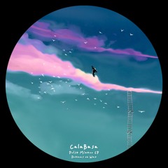 Premiere: Calabasa - Pulse Majeur [DOWLTD003]