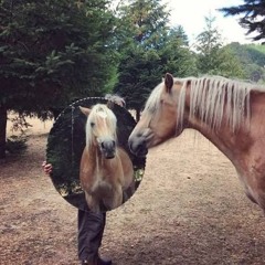 u & me x windhorse (scotia mashup)