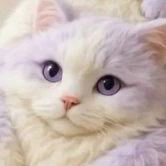 Томас Санта.v2