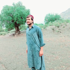 Pashto_new_nice_tapay__2011_by_Farman_mashoom.(128k).m4a