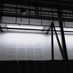 Suruverho Caribbean Cruises Edit