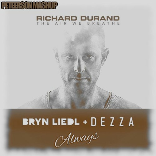 Richard Durand Vs. Bryn Liedl & Dezza - The Air I Always Breathe (Peteerson Mashup)