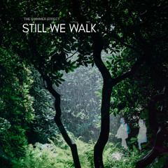 Still We Walk