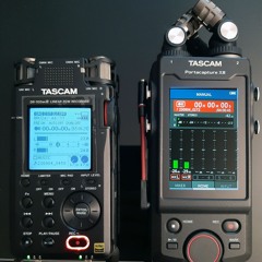 TASCAM X8 Vs DR100mk3 Built - In Microphones