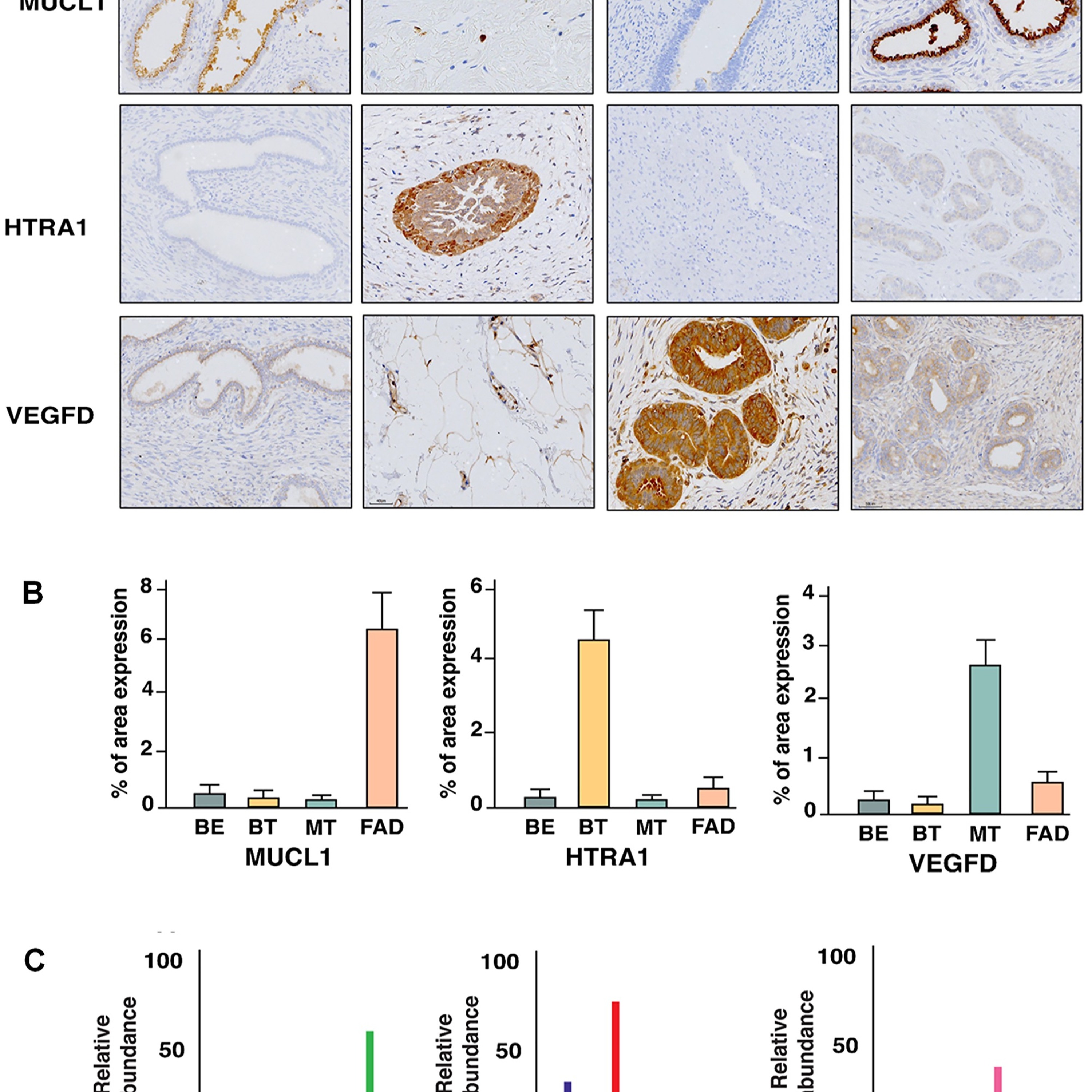 Oncotarget