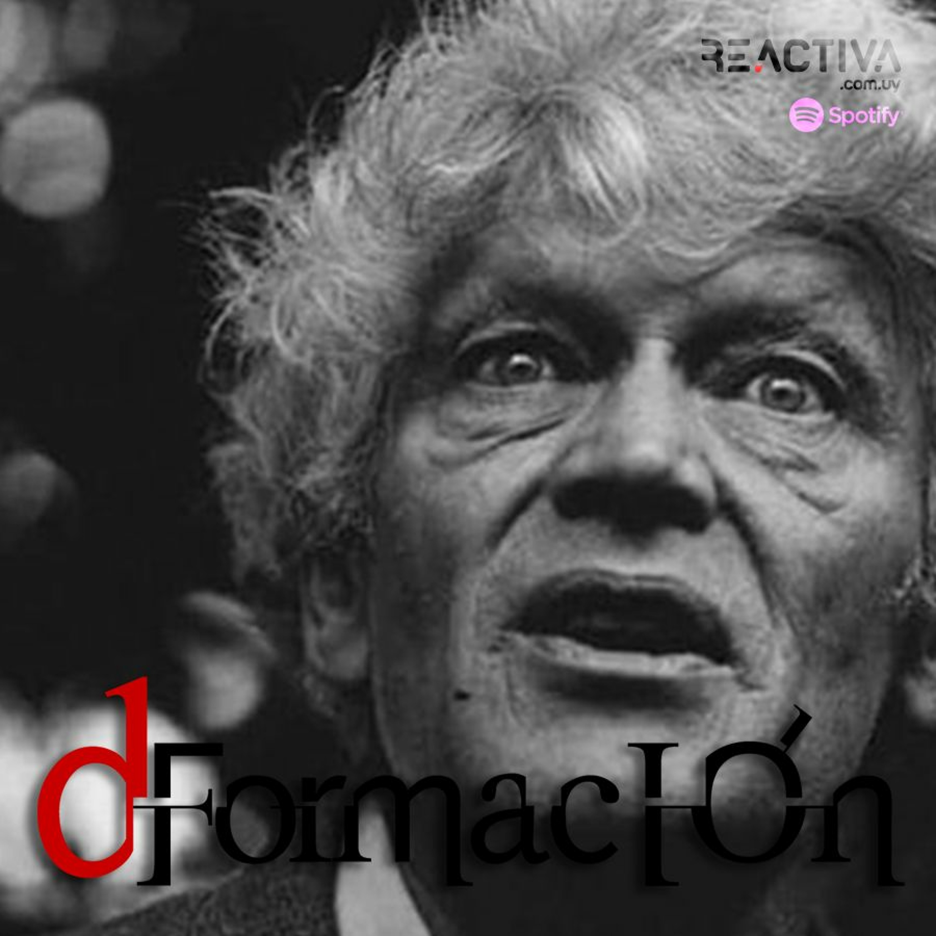 Reactiva Contenidos