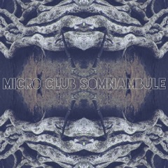 MicroClub26magA-13